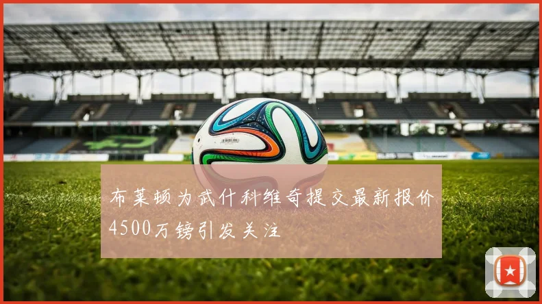 布莱顿为武什科维奇提交最新报价4500万镑引发关注