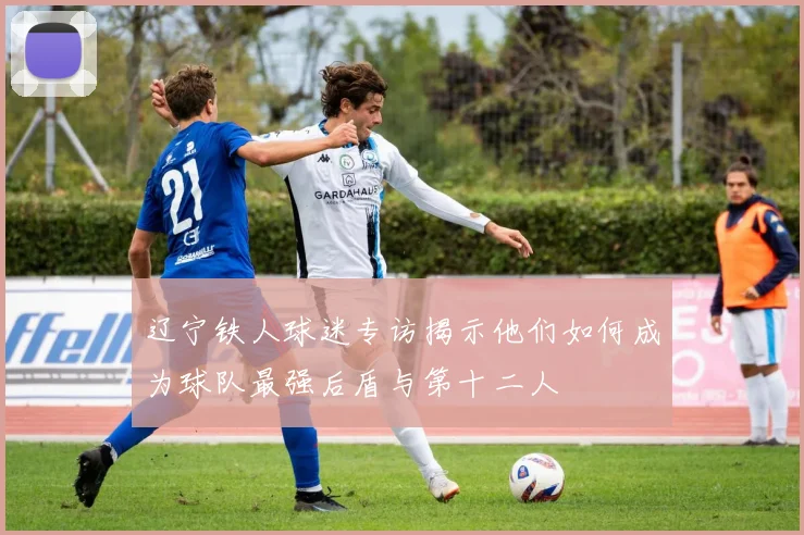 辽宁铁人球迷专访揭示他们如何成为球队最强后盾与第十二人
