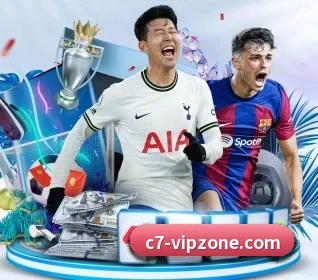 五大服务分区,信息按项目分类 | C7